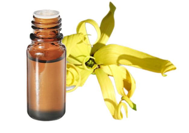 FT-Plante HE-Ylang-ylang-complete-removebg-preview