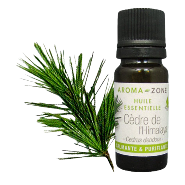 Olio essenziale di Cedro dell'Himalaya