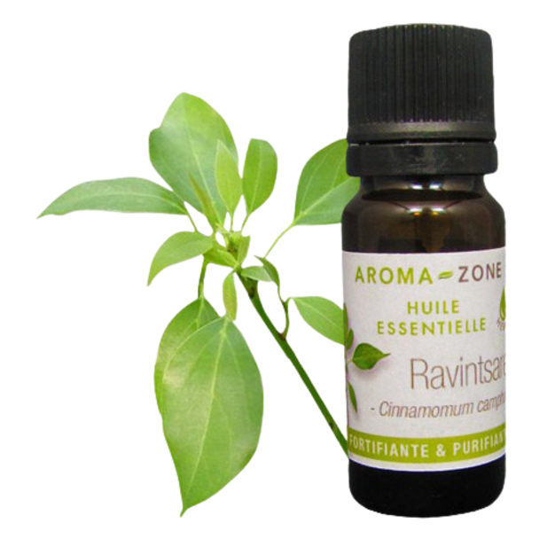 Huile essentielle Ravintsara (Ravintsare) BIO