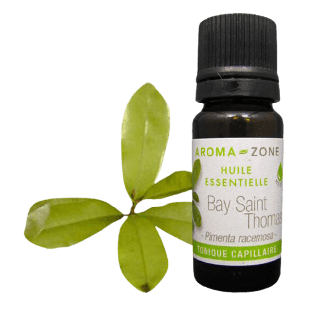 Olio essenziale di Bay Saint Thomas