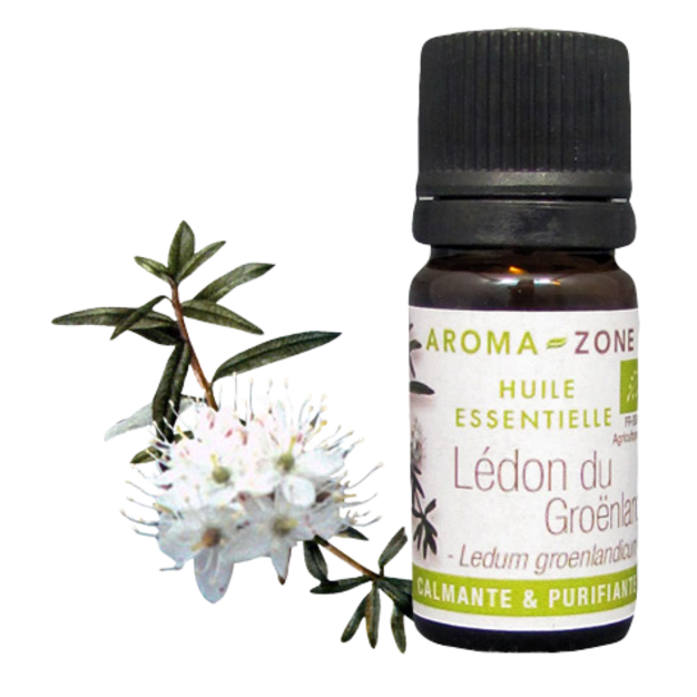 Huile essentielle Lédon du Groenland BIO