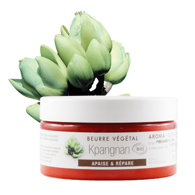 Beurre de Kpangnan brut BIO