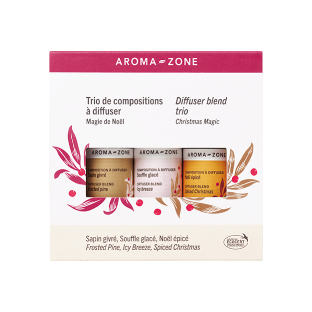 Coffret Trio de Compositions à Diffuser Magie de Noël 2025