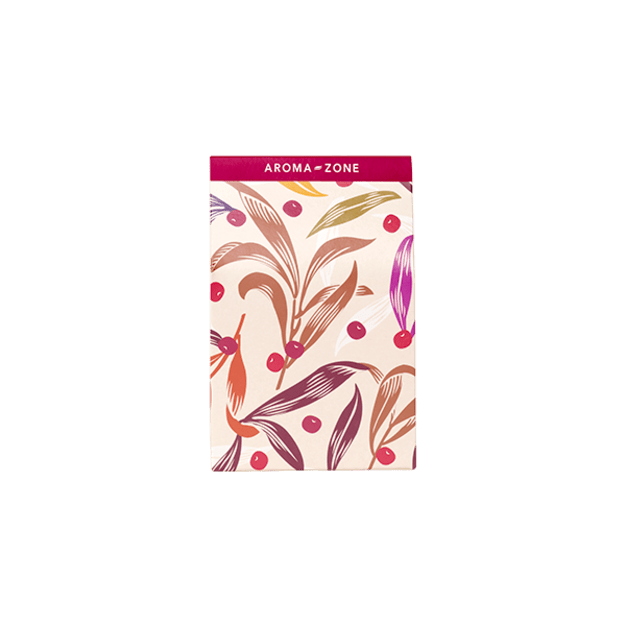 Petite pochette cadeau - édition limitée Noël