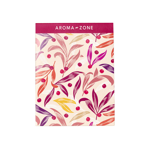 Busta regalo media - edizione limitata Natale