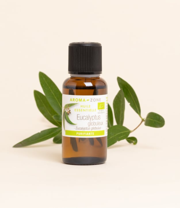 Huile essentielle Eucalyptus globulus