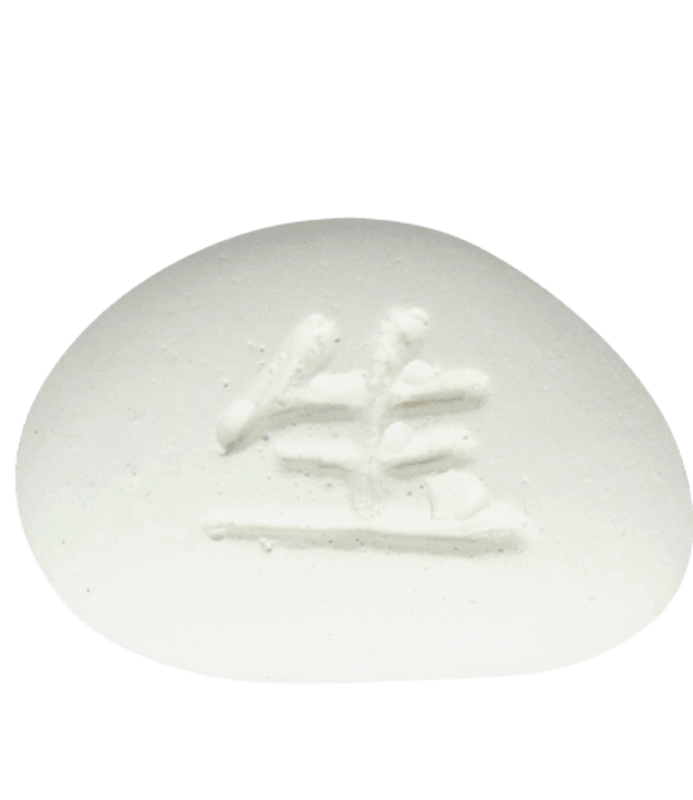 PLP