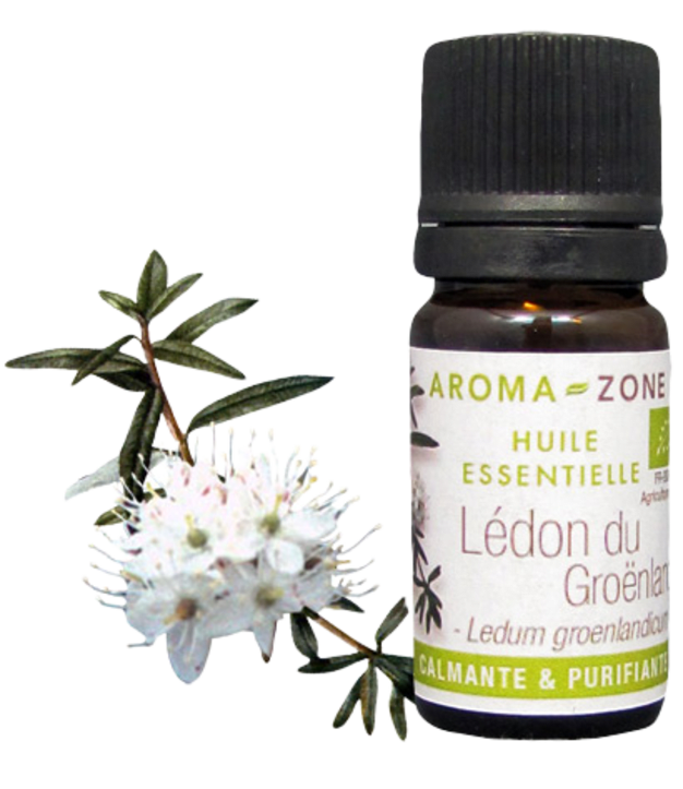 Olio essenziale di Tè del Labrador (Ledum) BIO