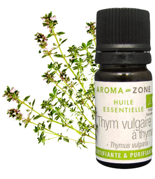 Olio essenziale Timo timolo di Provenza BIO