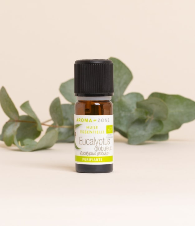 Huile essentielle Eucalyptus globulus BIO