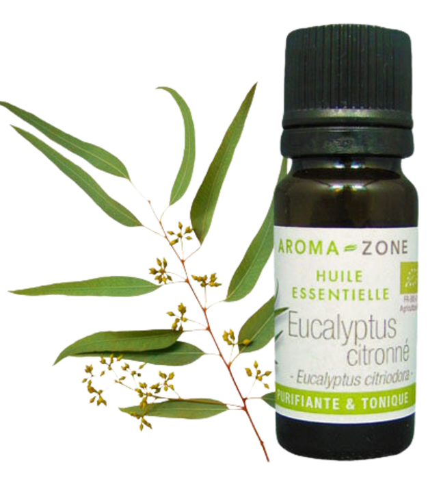 Huile essentielle Eucalyptus citronné BIO