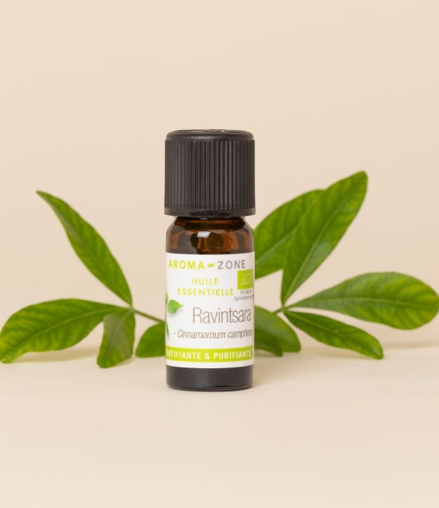 Huile essentielle Ravintsara (Ravintsare) BIO