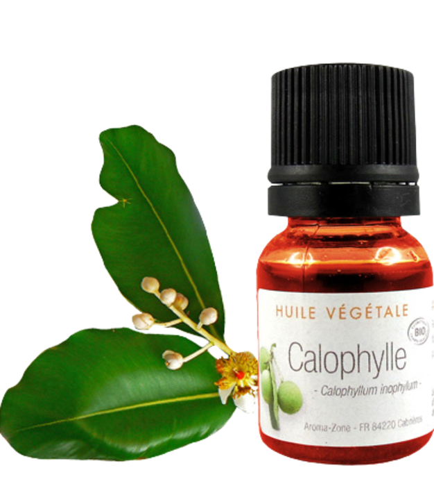 Huile de Calophylle inophyle BIO