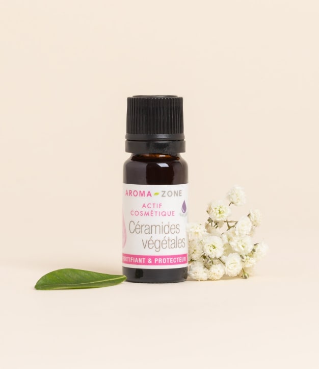Actif Céramides végétales