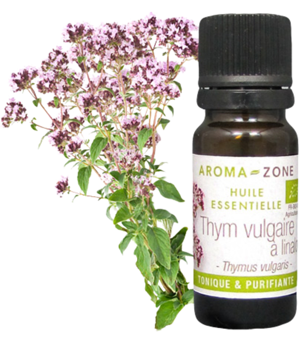 Huile essentielle Thym à linalol BIO