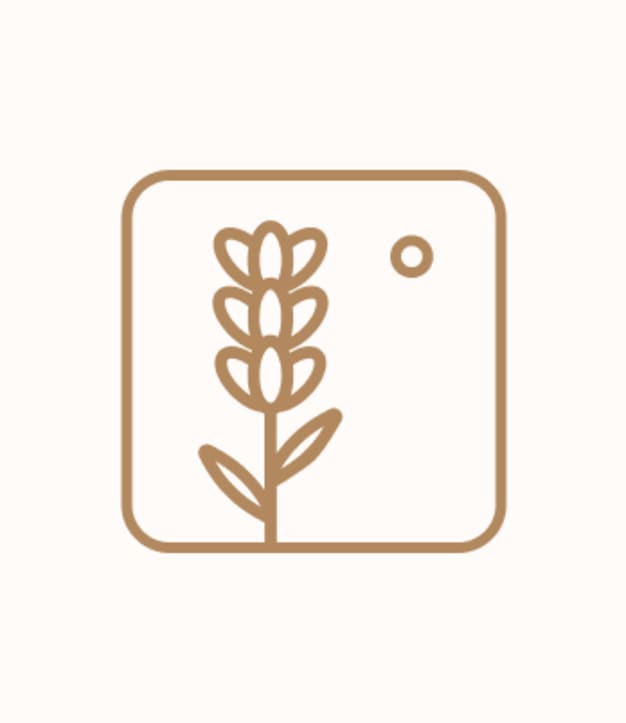 Siero concentrato Acido glicolico 10% e AHA