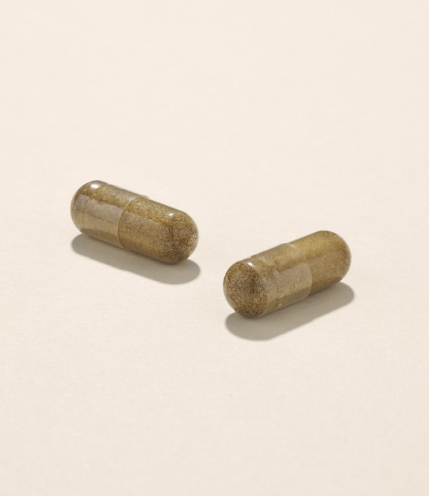 Echinacée BIO - 60 gélules - Complément alimentaire