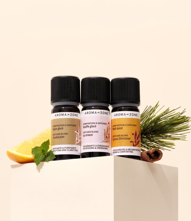 Coffret Trio de Compositions à Diffuser Magie de Noël 2025