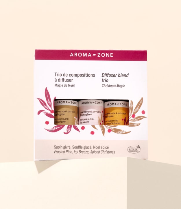 Coffret Trio de Compositions à Diffuser Magie de Noël 2025
