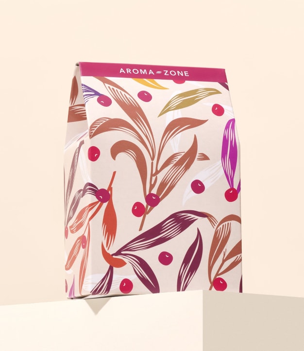 Petite pochette cadeau - édition limitée Noël