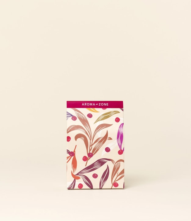 Petite pochette cadeau - édition limitée Noël