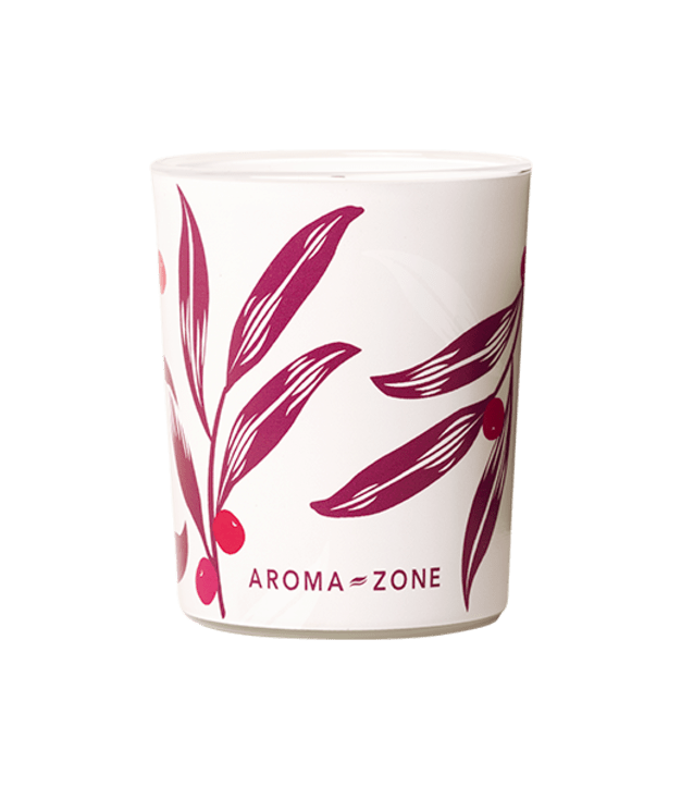 Candela profumata Pan di Zenzero - 120 g