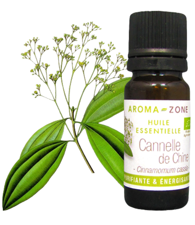 Olio essenziale di Cannella della Cina (Cassia) BIO
