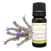 Olio essenziale di Lavanda spica