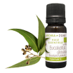 Huile essentielle Eucalyptus globulus BIO