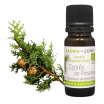 Huile essentielle Cyprès de Provence BIO