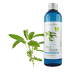 Hydrolat de Sauge officinale BIO