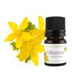 Huile essentielle Millepertuis BIO