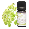 Olio essenziale Angelica archangelica