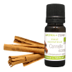 Huile essentielle Cannelle de Ceylan écorce BIO