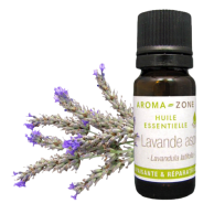 Olio essenziale di Lavanda spica