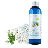 Hydrolat de Carotte sauvage BIO