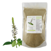 Polvere di Tulsi BIO