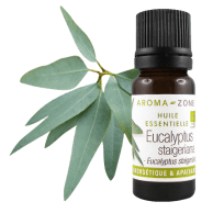 Huile essentielle Eucalyptus staigeriana BIO