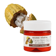 Beurre de Cacao blanc pastilles BIO