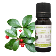 Olio essenziale di Gaultheria procumbens (Wintergreen)