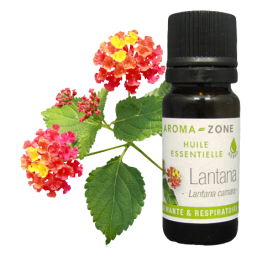 Huile essentielle Lantana BIO