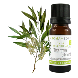 Olio essenziale di Tea tree citronato (Albero del tè) BIO