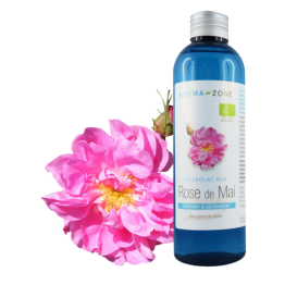 Hydrolat de Rose de Mai BIO