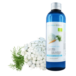 Hydrolat de Carotte sauvage BIO