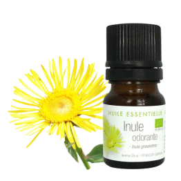 Olio essenziale di Inula (Enula) odorosa BIO