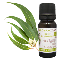 Huile essentielle Eucalyptus radié BIO