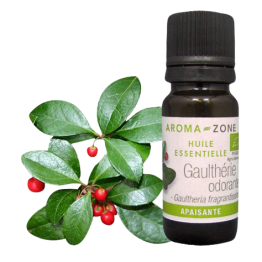 Olio essenziale di Gaulteria odorosa (Wintergreen) BIO