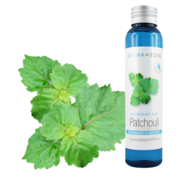 Idrolato di Patchouli selvatico