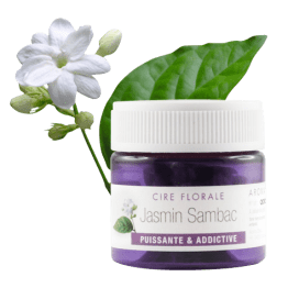 Cire florale Jasmin sambac