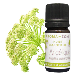 Olio essenziale Angelica archangelica